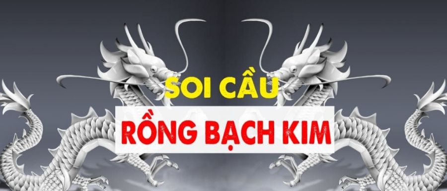 soi-cau-bach-kim-s666