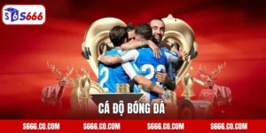 Cá Độ Bóng Đá