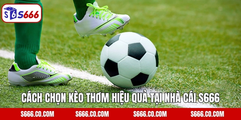 Kèo Thơm Là Gì? Phương Pháp Chọn Cược Dễ Thắng Tại S666 4 Cách chọn kèo thơm hiệu quả tại nhà cái S666