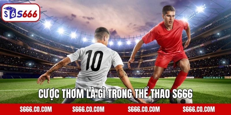 Kèo Thơm Là Gì? Phương Pháp Chọn Cược Dễ Thắng Tại S666 2 Cược thơm là gì trong thể thao S666