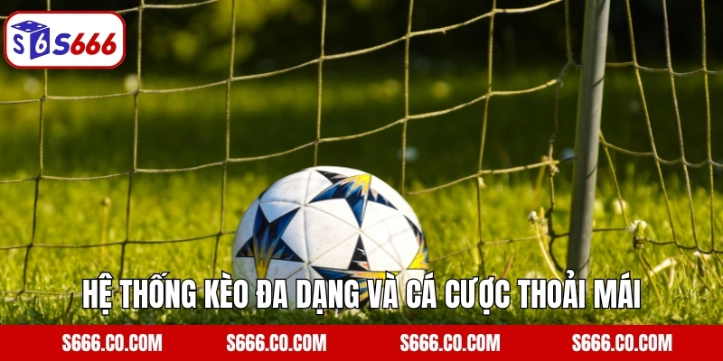 Cá Độ Bóng Đá - Đa Dạng Kèo Cược, Tỷ Lệ Thưởng Khủng Tại S666 3 Hệ thống kèo đa dạng và cá cược thoải mái
