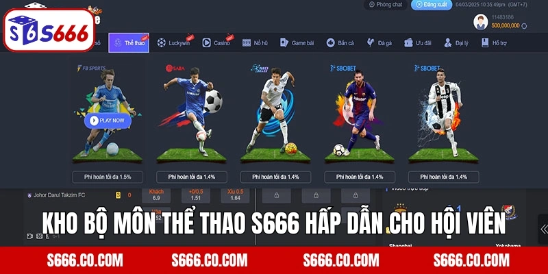 Kho bộ môn thể thao S666 hấp dẫn cho hội viên