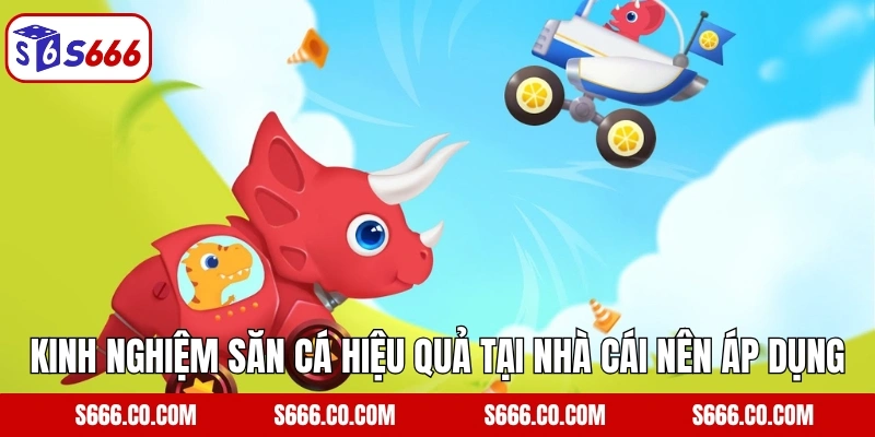 Kinh nghiệm săn cá hiệu quả tại nhà cái nên áp dụng