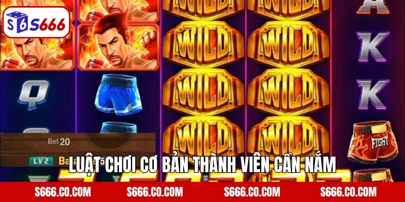 Boxing King S666 – Trận Chiến Bất Bại Quyền Anh Đỉnh Cao 3 Luật chơi cơ bản thành viên cần nắm của tựa game Boxing King