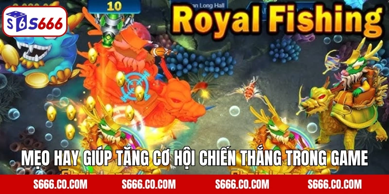 Royal Fishing - Bắn Cá Hoàng Gia, Thắng Lớn Mỗi Ngày Tại S666 5 Mẹo hay giúp tăng cơ hội chiến thắng trong game