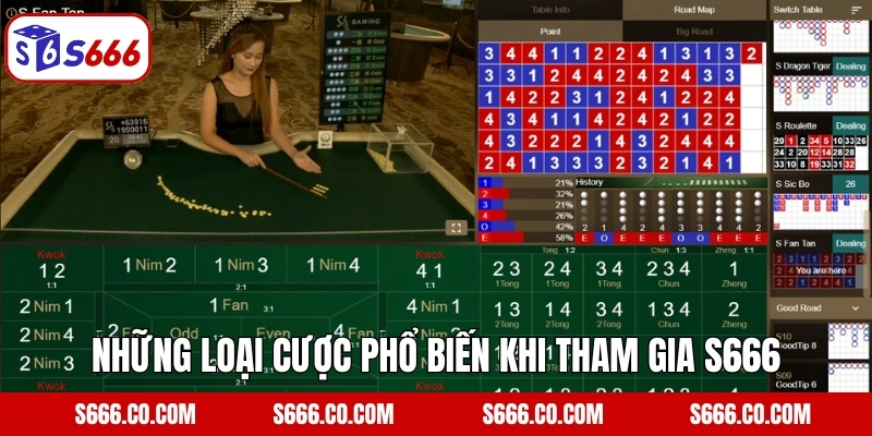 Fan Tan - Khám Phá Tựa Game Đổi Thưởng Hàng Đầu Tại S666 3 Những loại cược phổ biến khi tham gia S666