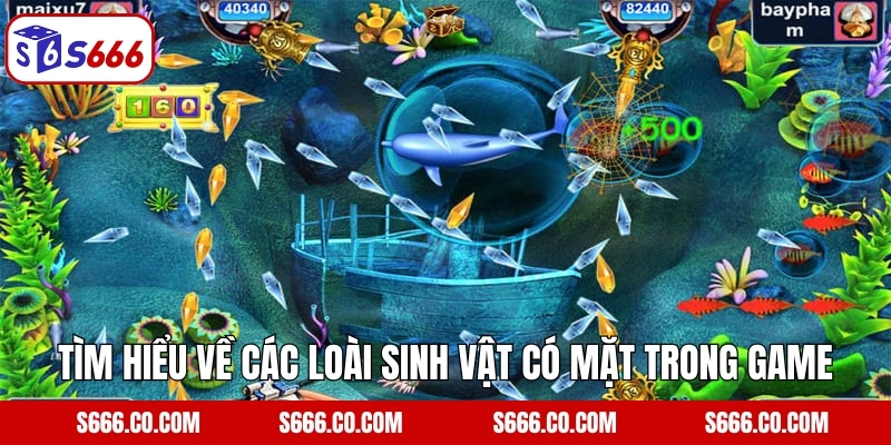 Jack Pot Fishing: Bắn Cá Kết Hợp Nổ Hũ Cực Đỉnh Tại S666 3 Tìm hiểu về các loài sinh vật có mặt trong Jack Pot Fishing