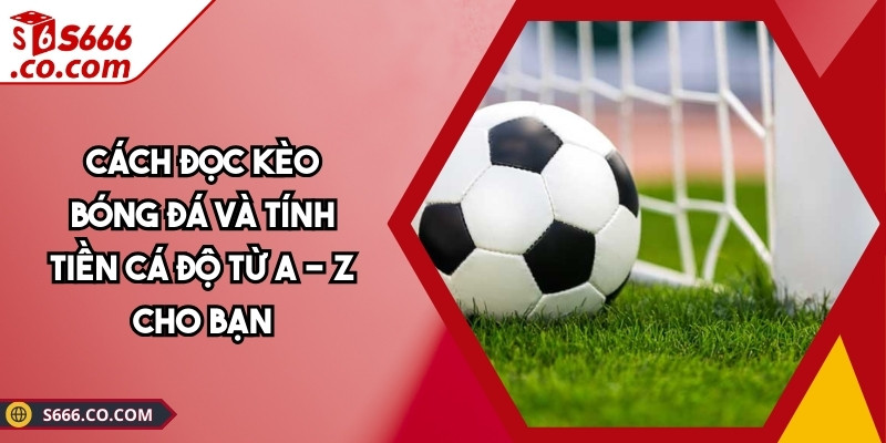 Cách Đọc Kèo Bóng Đá
