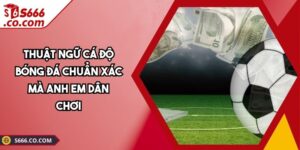 Thuật Ngữ Cá Độ Bóng Đá