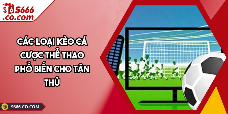 Các Loại Kèo Cá Cược Thể Thao Phổ Biến Cho Tân Thủ 1 Các Loại Kèo Cá Cược Thể Thao