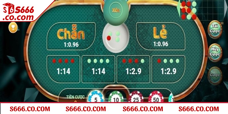 Luật chơi Xóc đĩa dễ hiểu nhất cho bet thủ tham gia lần đầu