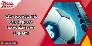 Cách Đọc Kèo Nhà Cái Chính Xác
