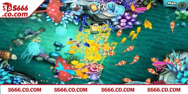 Anh em luôn lo lắng không biết nên bắn cá như thế nào